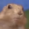 Profilbild von Don Smith