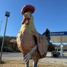 ajp profil fotoğrafı
