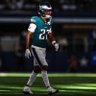 GO BIRDS's profile picture