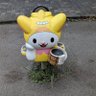 Profilbild von ノボチャン