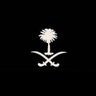 Profilbild von عُمَرُ الْهُذَلِيُّ .