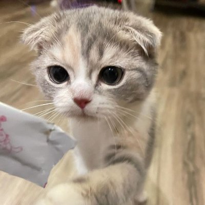 Rebecca's profile picture