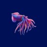 Reef Squid's profile picture