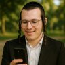 טוביה - חרדי למען הדמוקרטיה 🇮🇱's profile picture