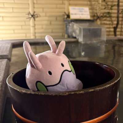 水菓子🌱's profile picture