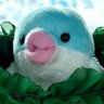 ちゃも's profile picture