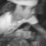 Profilbild von bleed