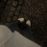 Profilbild von 𝗻𝗲𝗮