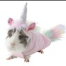triz tristonha's profile picture
