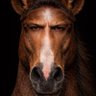 butter's profile picture