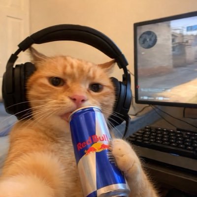 T L P.'s profile picture