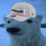 Profilbild von Ace Bear ♠️