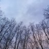 Фото профиля Putxifino