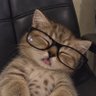 peuw peuw 🫴🫳 profil fotoğrafı