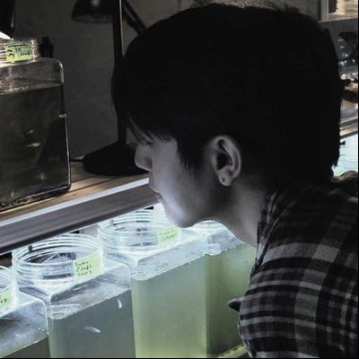 litternmoon's profile picture
