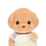 ぷに🐶✨㌠ profil fotoğrafı