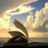 العلم نور's profile picture