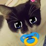troodypoopydoopy 🌴🌈/🔳🔲's profile picture