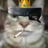 Heaveliion's profile picture