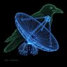 Aquacade's profile picture