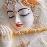 Profilbild von Krishna Kumar Verma