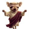 AJMastertierX's profile picture