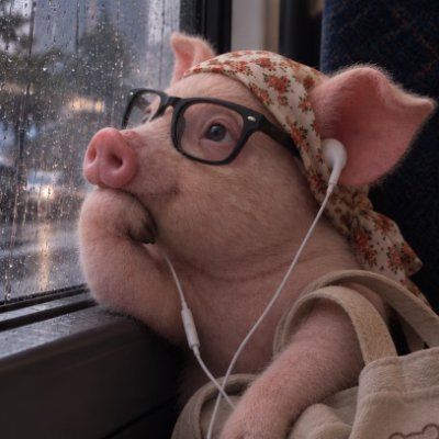 𝓓𝓮𝓬𝓮𝓶𝓫𝓮𝓻 𝓰𝓲𝓻𝓵𝓼 丽音✎♫'s profile picture