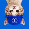 Фото профиля UpSide Down Cat