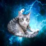 電撃直撃猫 的头像