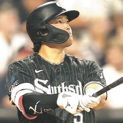 SoxTranslator's profile picture