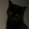 Profilbild von كوكو