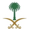 محمد العامري's profile picture