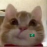 وَرد's profile picture