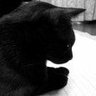 雪平 profil fotoğrafı