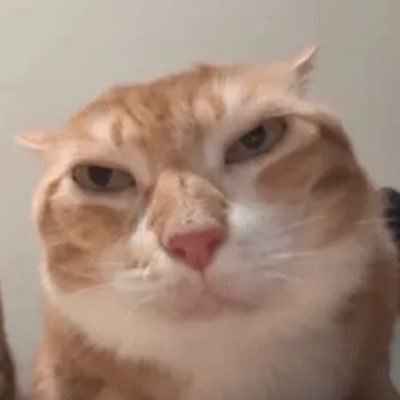 icutmyheart0's profile picture