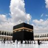 وسيم عبدالله محمد's profile picture