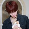 KHAI (PSD) 🐯🐶's profile picture