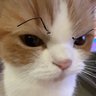 it me yumyum's profile picture