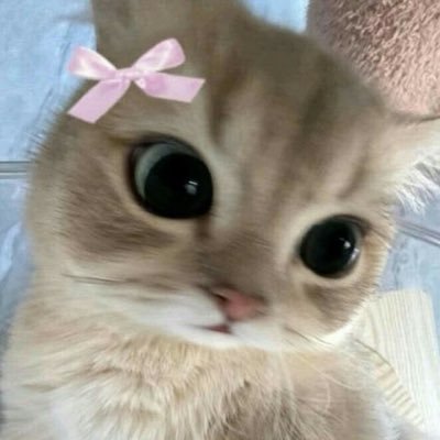 himekajpg's profile picture