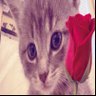 سنيوريتااا 💅🏻💗👄 profil fotoğrafı