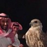 AL-AZDI 的头像