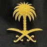 Profilbild von 🇸🇦Ⱥƶɨƶ