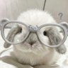 spnxuds.'s profile picture