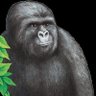 JTRustler 🦍 的头像