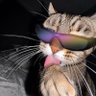 Profilbild von m