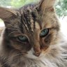 Parkerkitty profil fotoğrafı