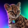 Profilbild von Unclearfatez