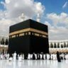 علي الجيشي's profile picture