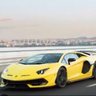 Profilbild von stablefan16