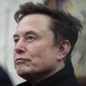 Profilbild von Elon